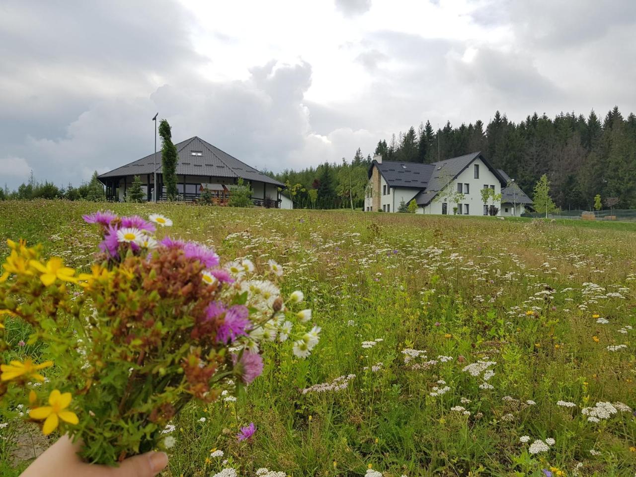 Complex Turistic Comoara Bucovinei Corlata Eksteriør billede